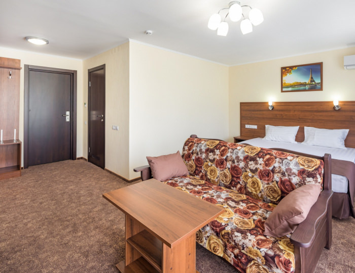 Джуниор Сьют Классик 2-местный корп.3,8 - Санаторий «Красная Талка»